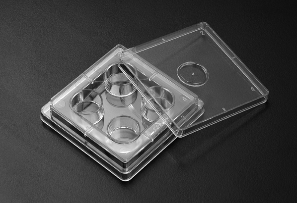 SPL-30004 四孔细胞培养板 生物耗材